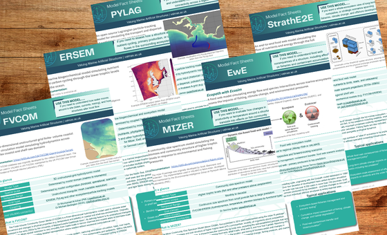 Display of factsheets