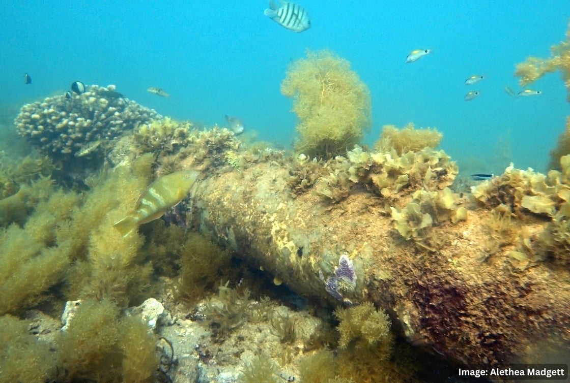Subsea Pipeline