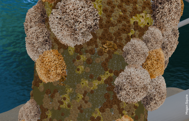 Rendered image of a 3D visualisation of the marine communities attached to Marine Artificial Structures in the North Sea